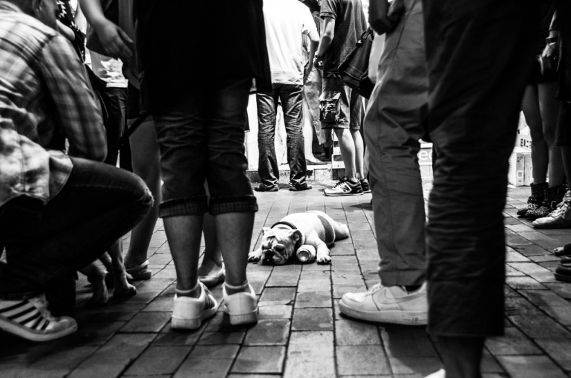 Ama de llaves filipina recibe prestigiosa beca Magnum Ama de llaves filipina recibe prestigiosa beca Magnum