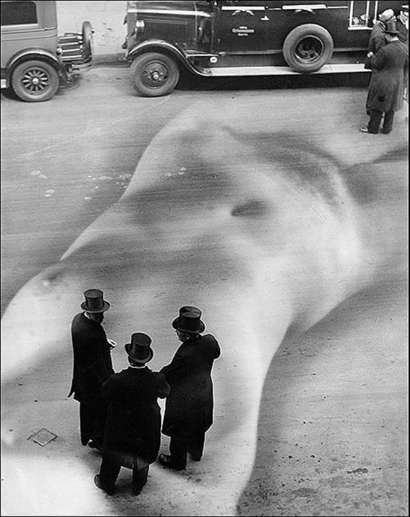 Amazing forms in the photographs of Heinz Hayek-Halke Amazing forms in the photographs of Heinz Hayek-Halke