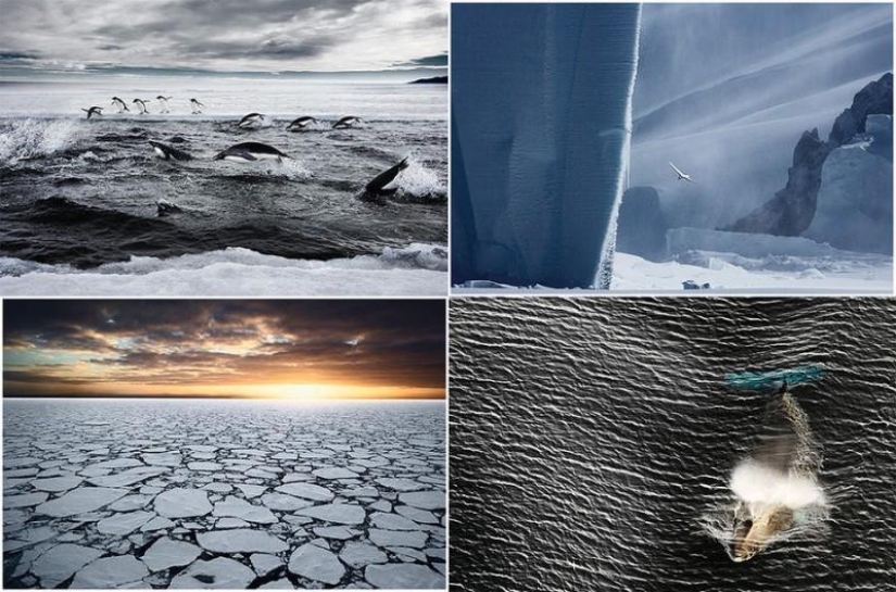 Amazing Frosty Photos by John Weller Amazing Frosty Photos by John Weller