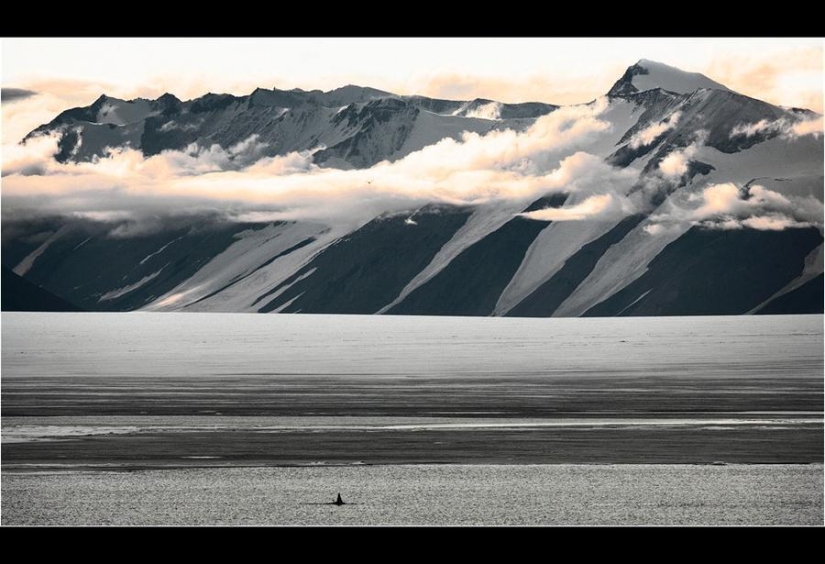 Amazing Frosty Photos by John Weller Amazing Frosty Photos by John Weller