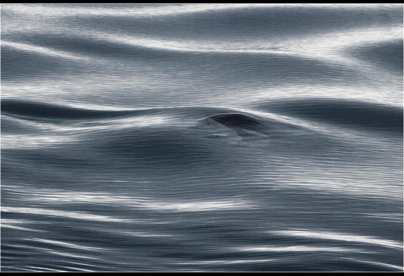 Amazing Frosty Photos by John Weller Amazing Frosty Photos by John Weller