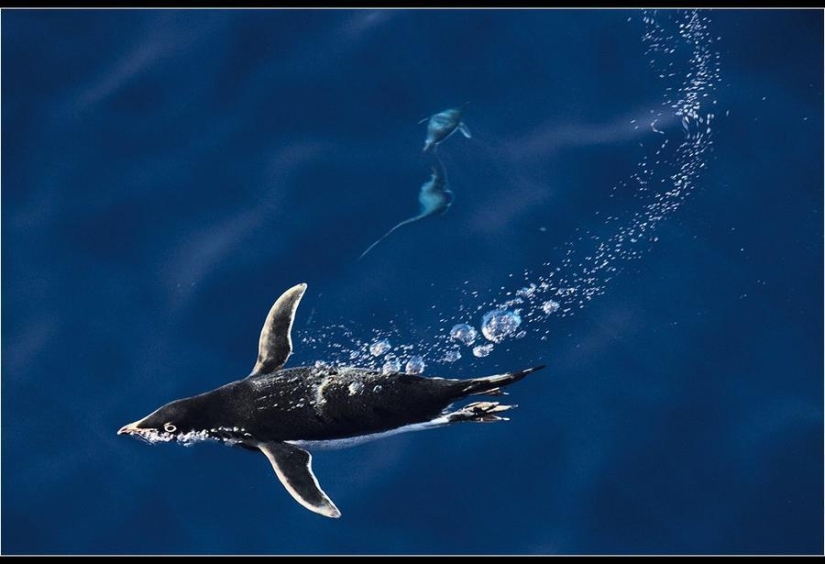 Amazing Frosty Photos by John Weller Amazing Frosty Photos by John Weller