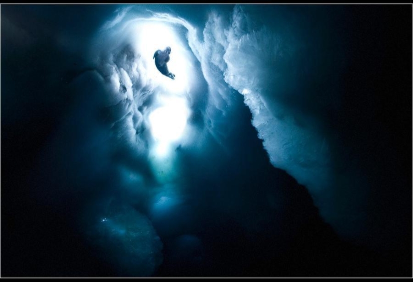 Amazing Frosty Photos by John Weller Amazing Frosty Photos by John Weller