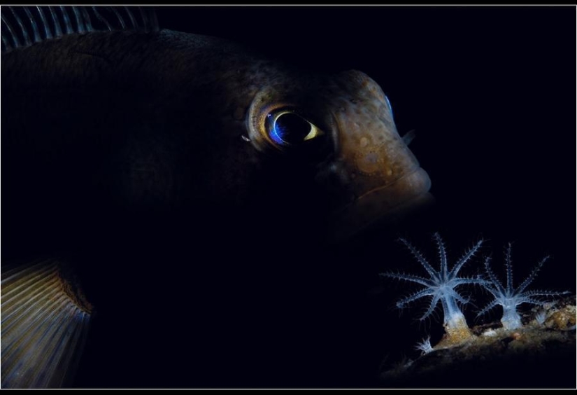 Amazing Frosty Photos by John Weller Amazing Frosty Photos by John Weller