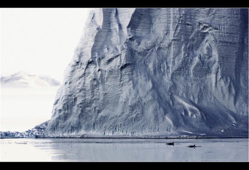 Amazing Frosty Photos by John Weller Amazing Frosty Photos by John Weller