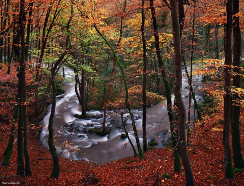 Amazing landscapes inspired by the fairy tales of the Brothers Grimm