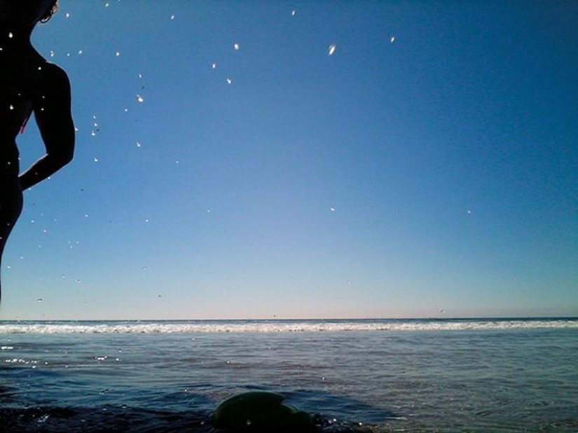 Amazing pictures taken by animals