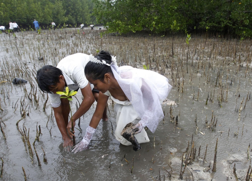 Amazing wedding photos from around the world Amazing wedding photos from around the world