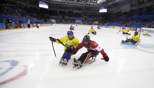 Amazing Winter Paralympics 2014