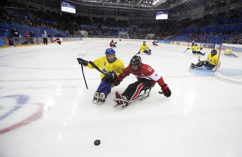 Amazing Winter Paralympics 2014 Amazing Winter Paralympics 2014
