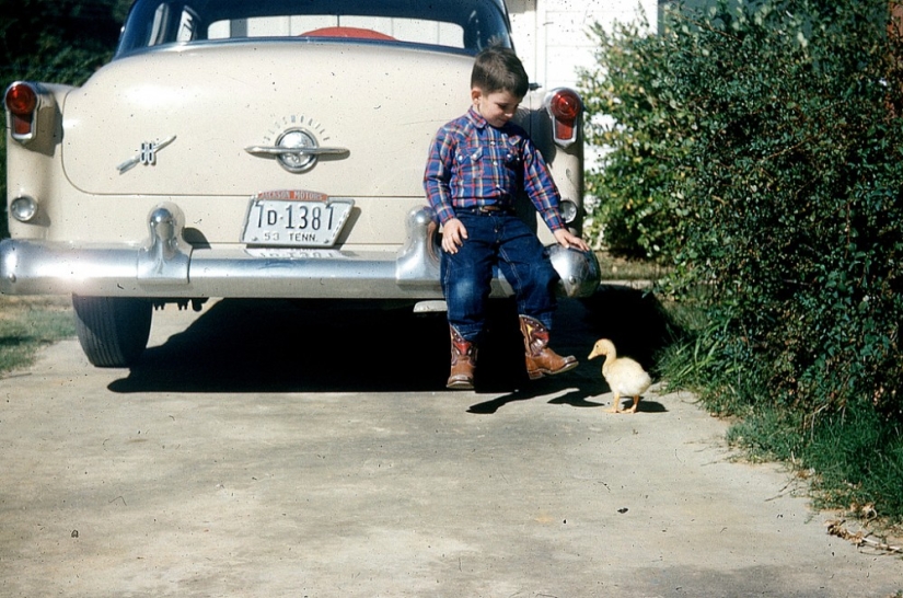 América años 50 en color
