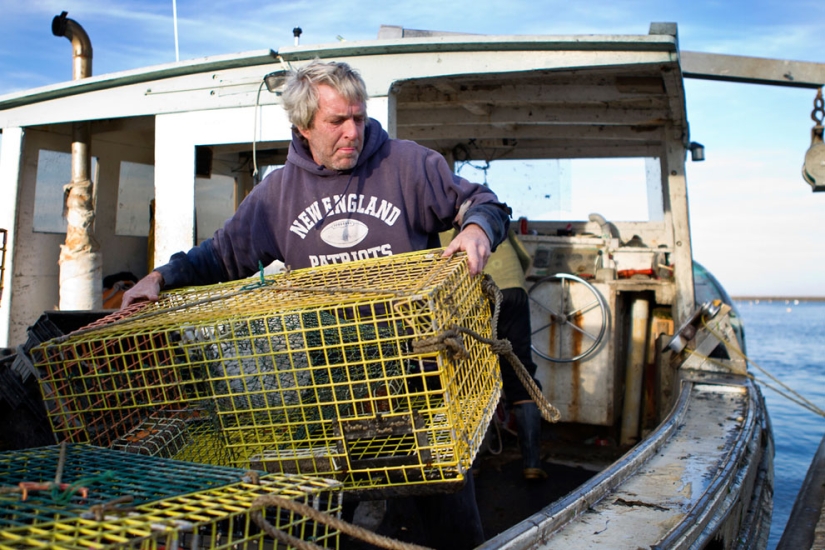 America at work in amateur photos