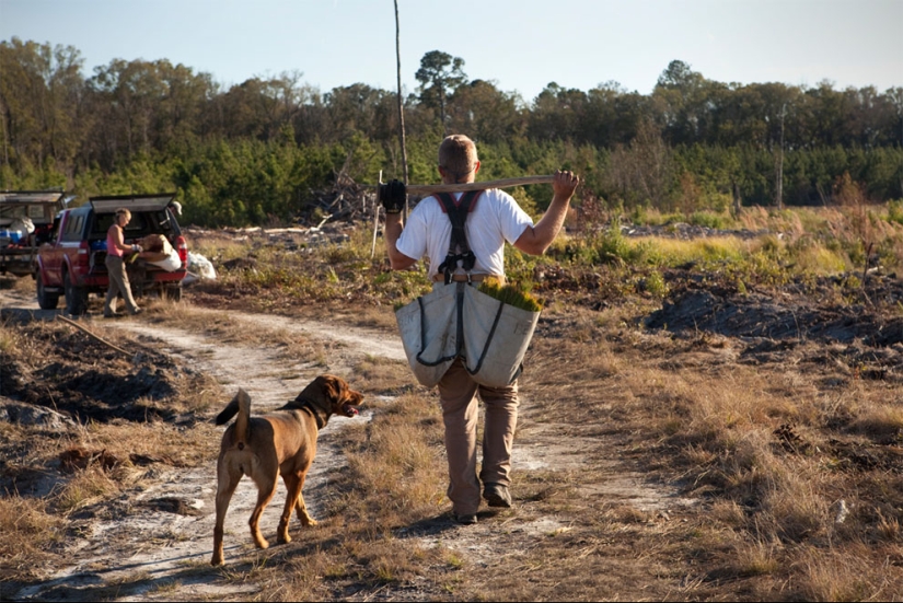 America at work in amateur photos
