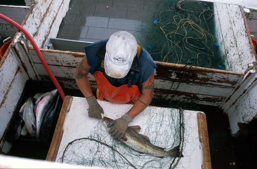 America at work in amateur photos