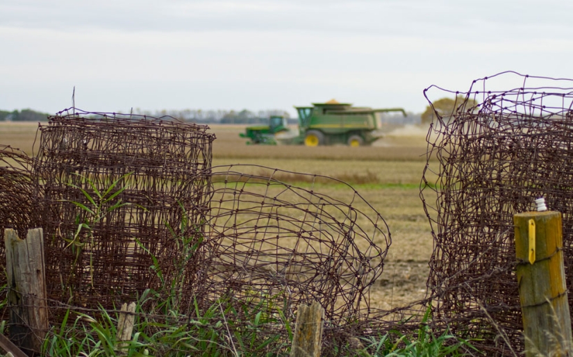 America at work in amateur photos