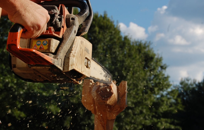 America at work in amateur photos