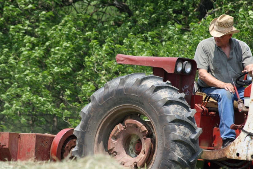 America at work in amateur photos