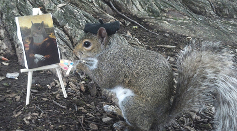 American student makes friends with squirrels and dresses them in different costumes American student makes friends with squirrels and dresses them in different costumes