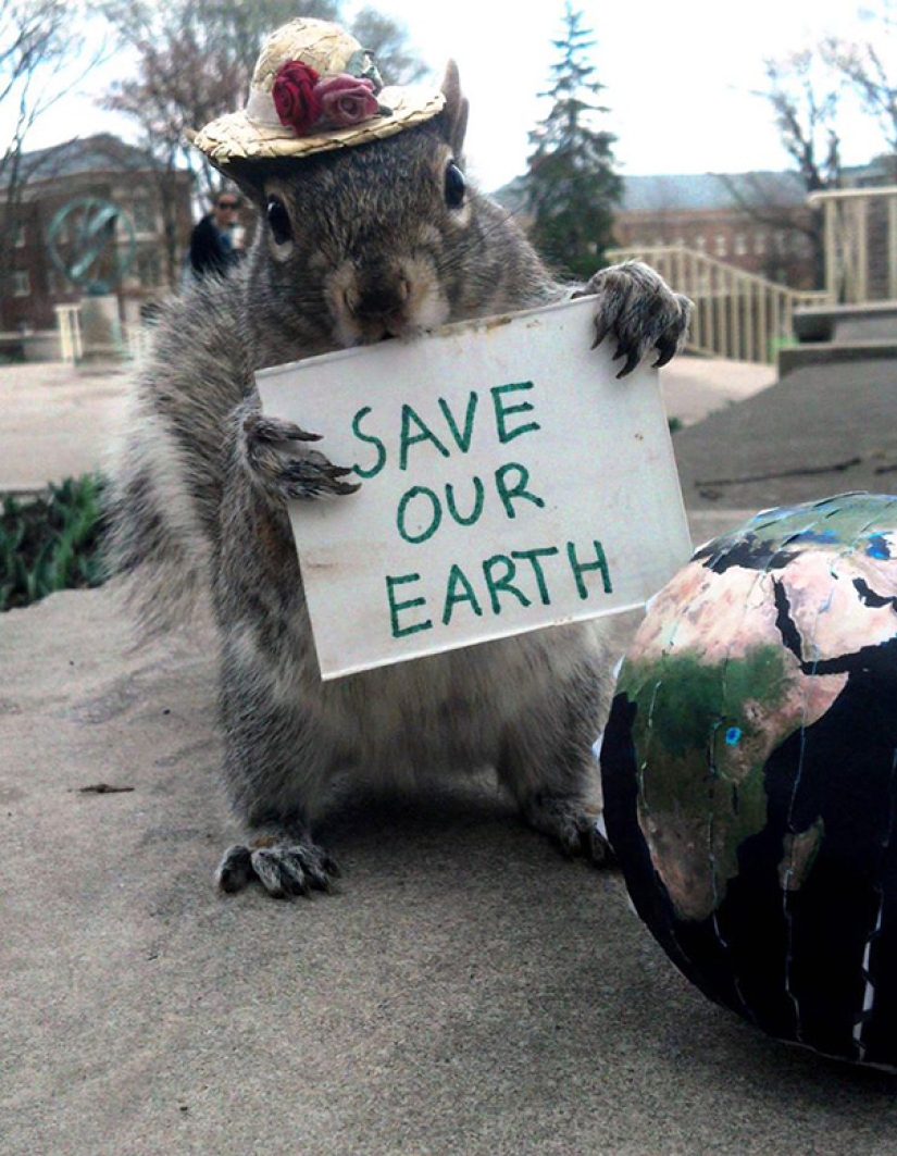 American student makes friends with squirrels and dresses them in different costumes American student makes friends with squirrels and dresses them in different costumes