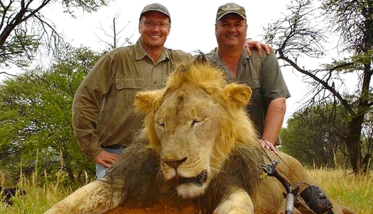 American who killed a famous lion caused a fury on the Internet and closed his dental office