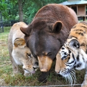 Amistad inusual: han estado juntos durante 13 años.