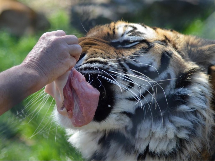 Amistad inusual: han estado juntos durante 13 años.