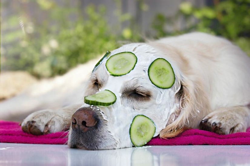 Amor incondicional Amor incondicional