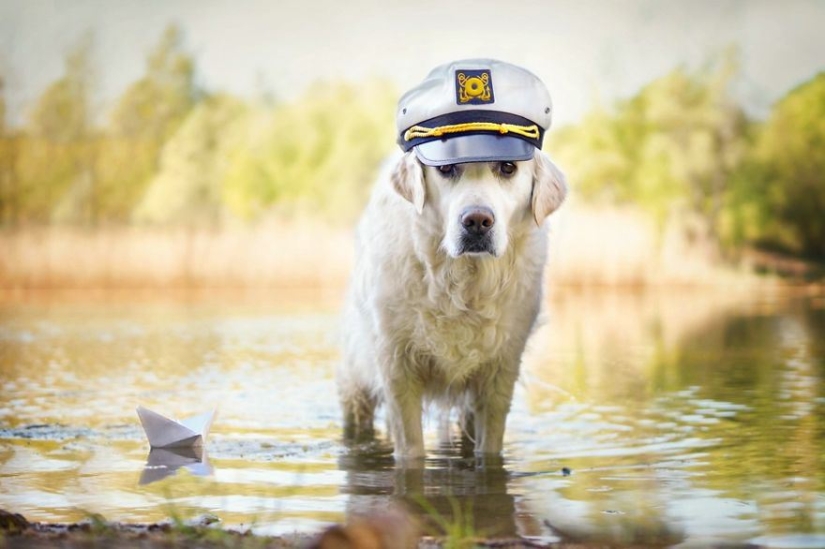 Amor incondicional Amor incondicional