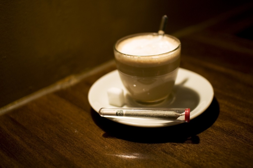 Amsterdam in numbers and photos Amsterdam in numbers and photos