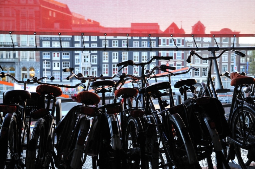 Amsterdam in numbers and photos Amsterdam in numbers and photos