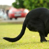 An amazing story about how Ru came to success - on wheels!