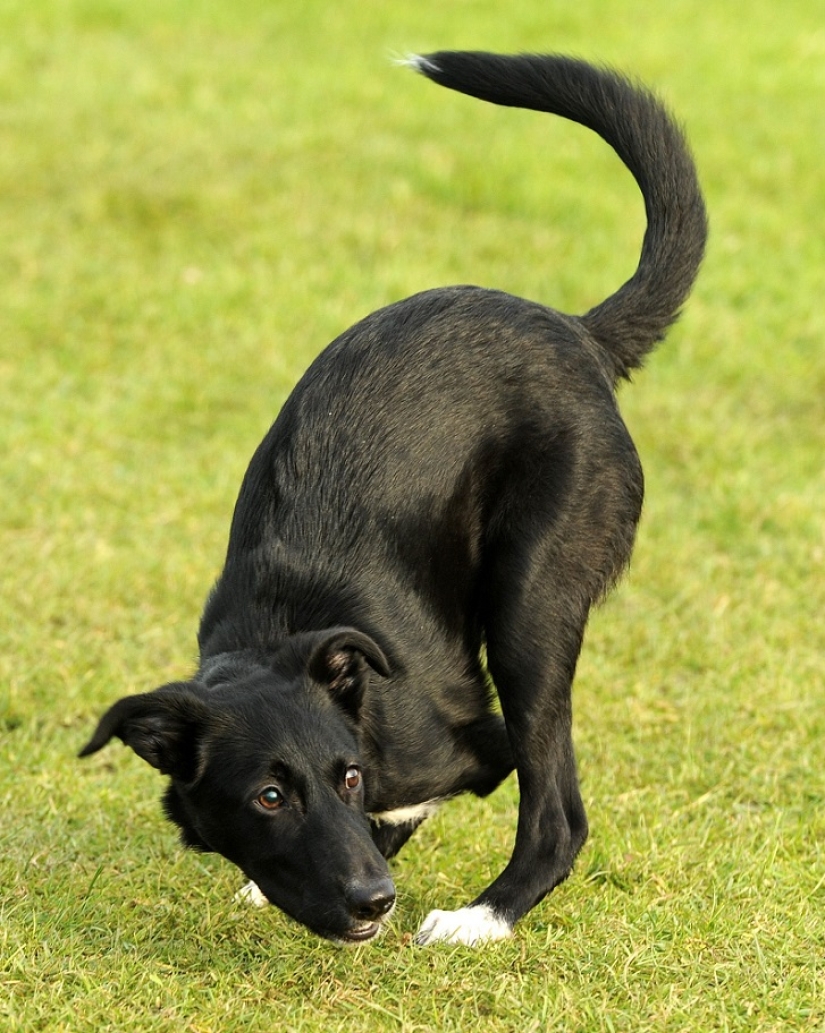 An amazing story about how Ru came to success - on wheels!