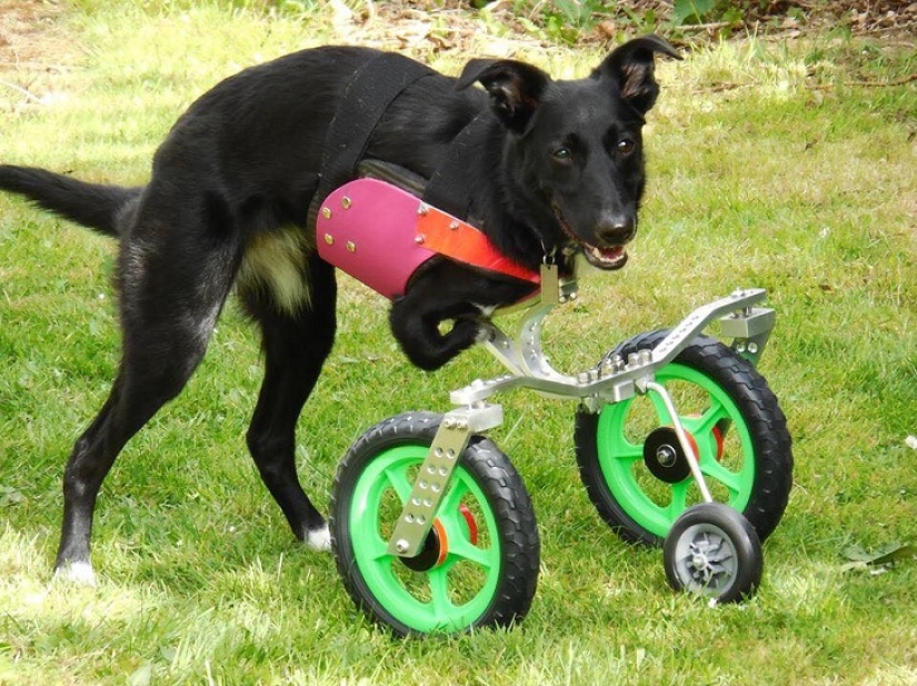 An amazing story about how Ru came to success - on wheels!