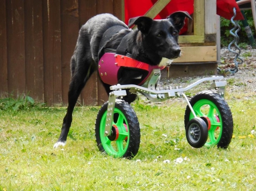 An amazing story about how Ru came to success - on wheels!