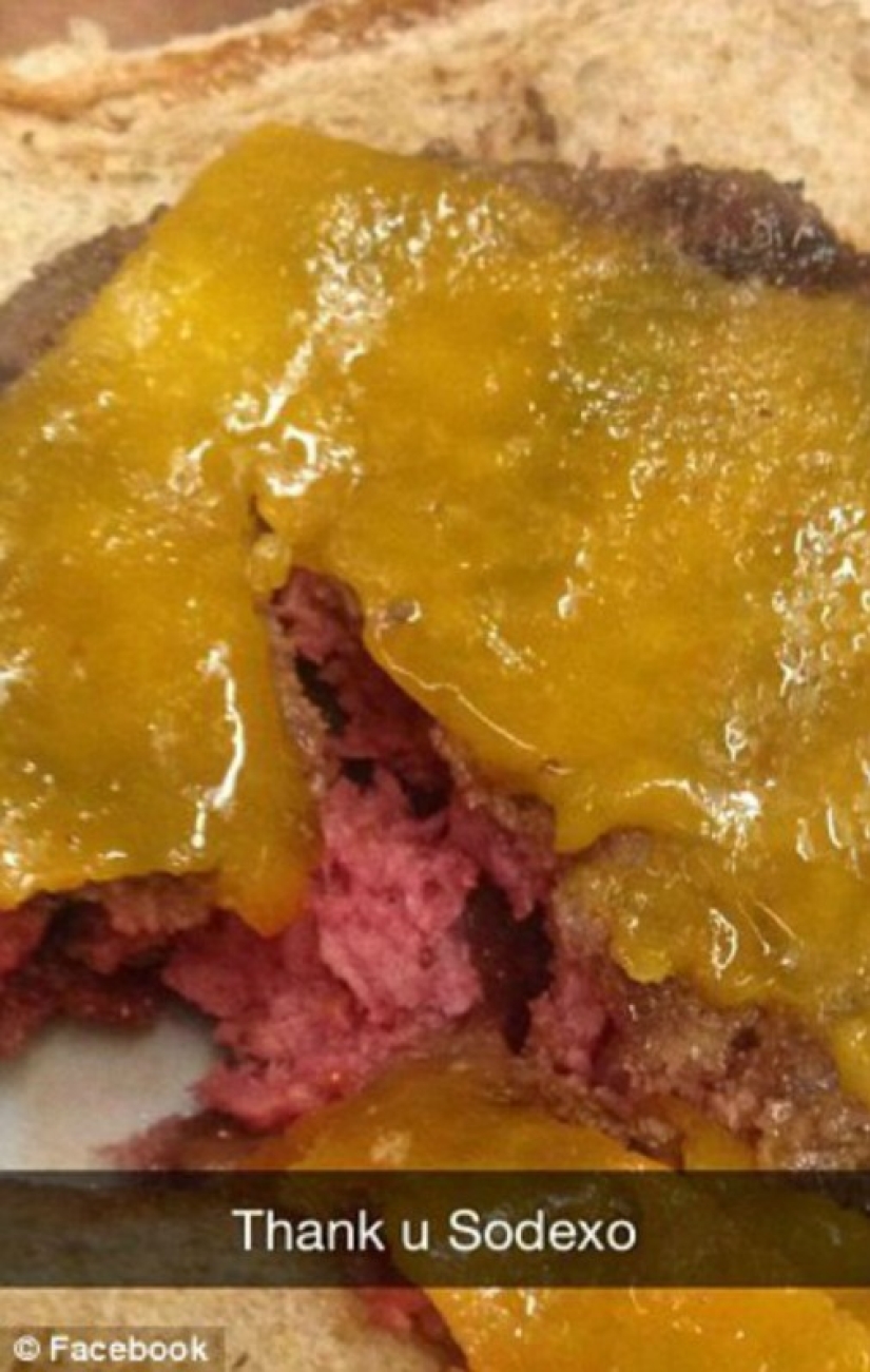 An omelet with mold, rotten apples and raw chicken — what else is fed in the British army