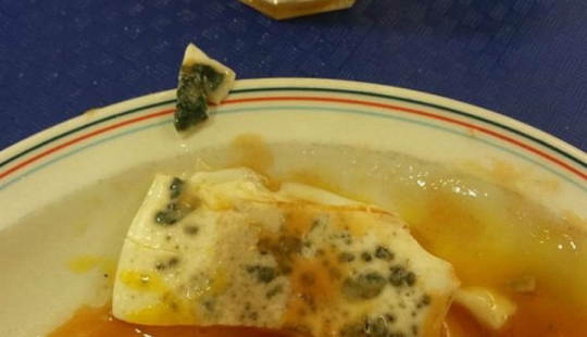 An omelet with mold, rotten apples and raw chicken — what else is fed in the British army An omelet with mold, rotten apples and raw chicken — what else is fed in the British army