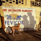 And again a selection of photos taken at the right time