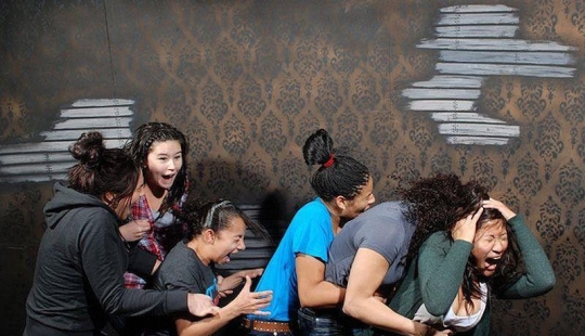 And again the frightened faces of the visitors of the room of horrors