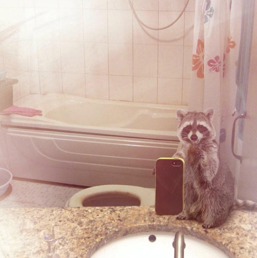 Animal Ballesta: Selfie de vida silvestre para National Geographic Animal Ballesta: Selfie de vida silvestre para National Geographic