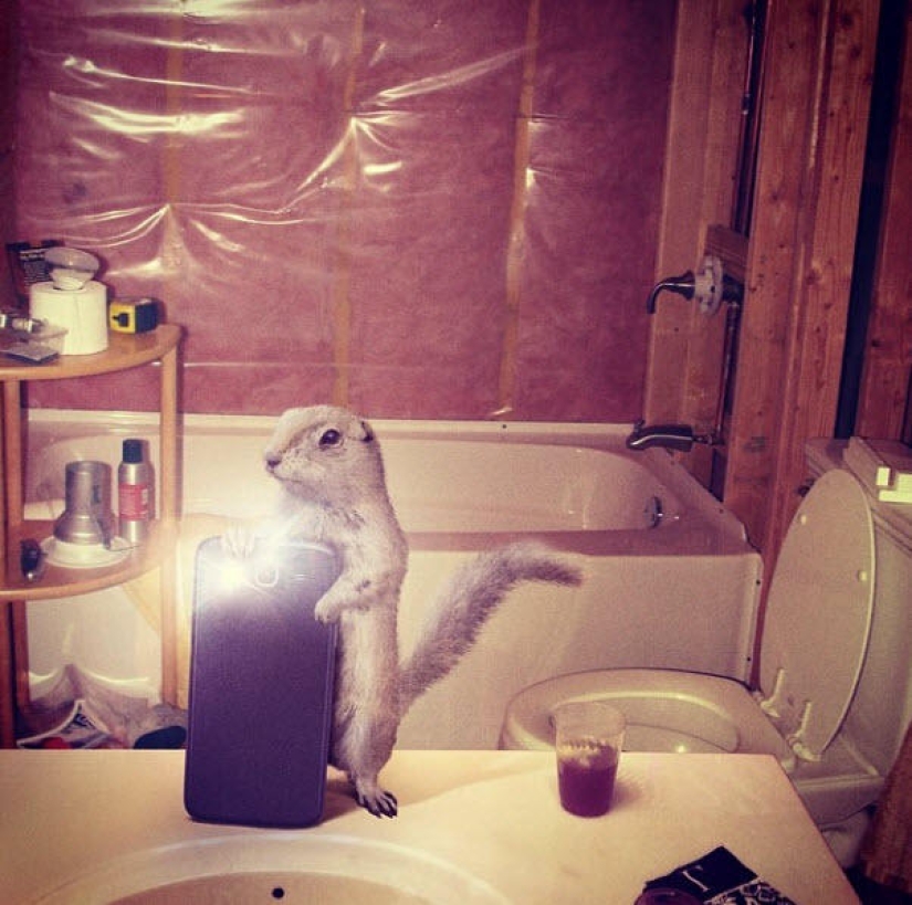 Animal Ballesta: Selfie de vida silvestre para National Geographic Animal Ballesta: Selfie de vida silvestre para National Geographic