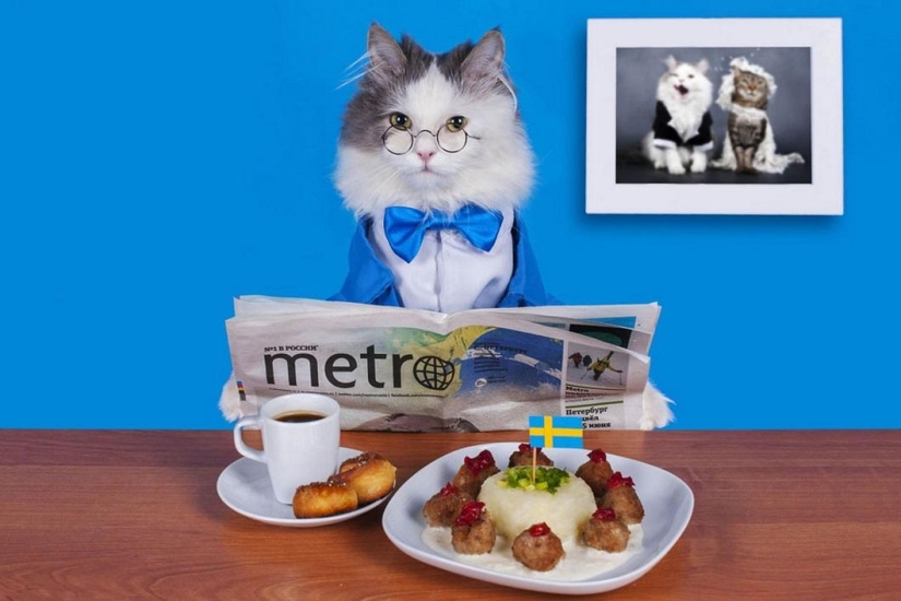 animales como humanos