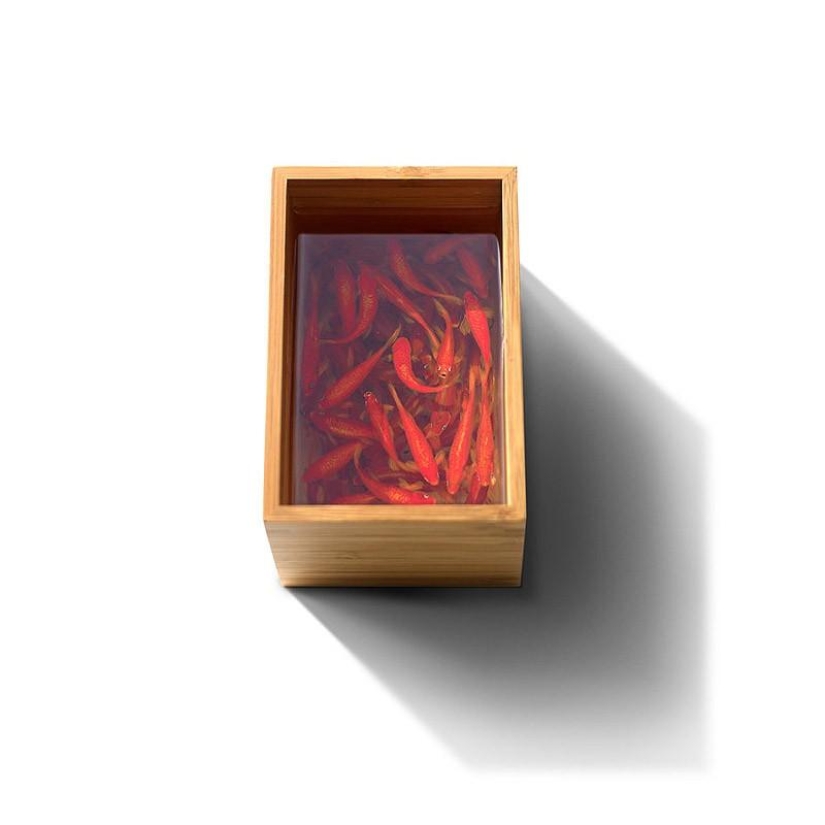 Animales hiperrealistas hechos de acrílico y resina. Animales hiperrealistas hechos de acrílico y resina.