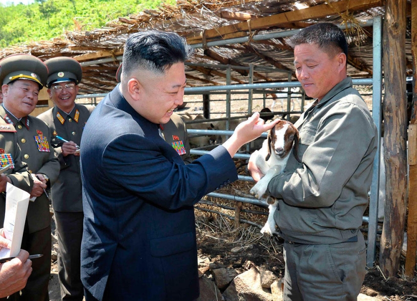 Animales que hacen noticia