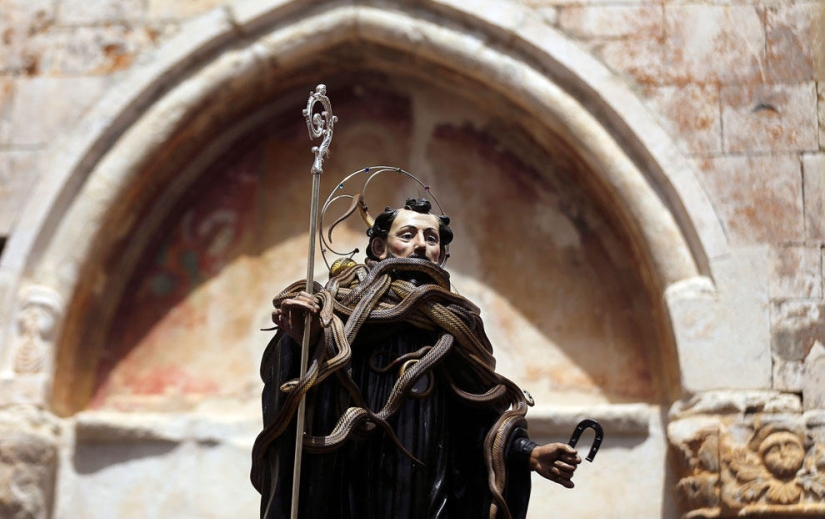 Animales que hacen noticia