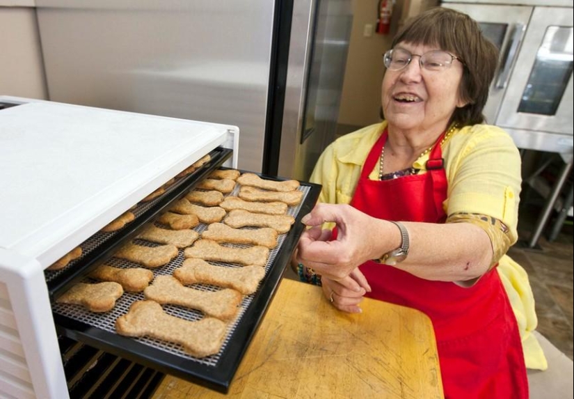 animales y personas animales y personas