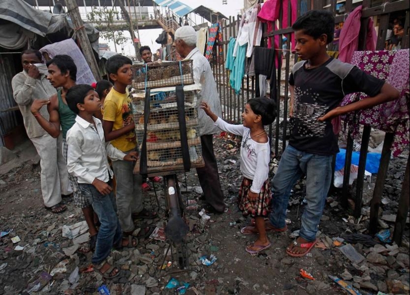 Animals and people Animals and people