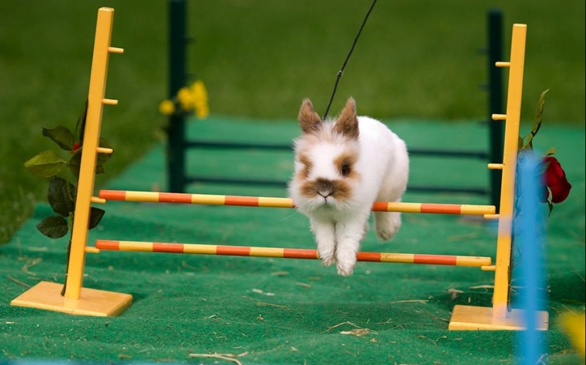 Animals and people Animals and people