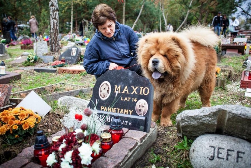 Animals and people Animals and people