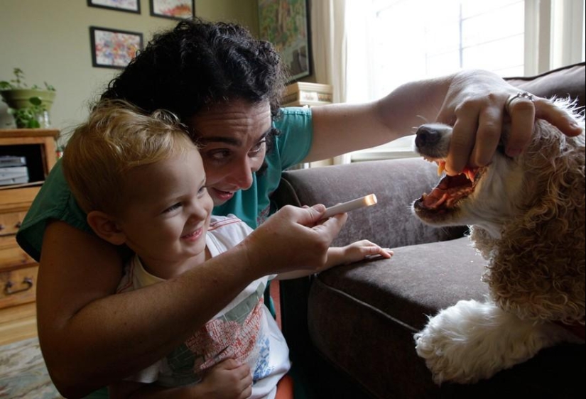 Animals and people Animals and people