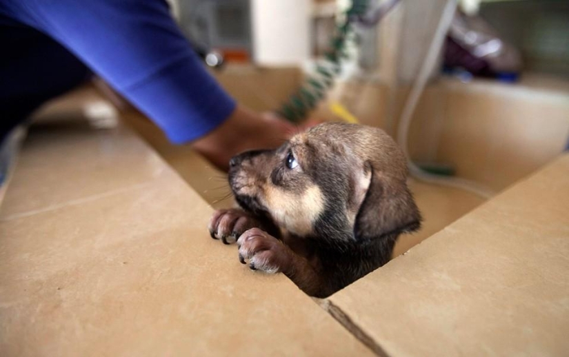 Animals and people Animals and people